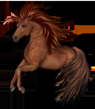 tier_horse04.png